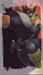 Captain Falcon