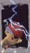 Ness